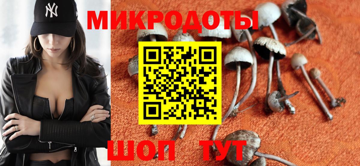 Псилоцибиновые грибы Psilocybe Уварово