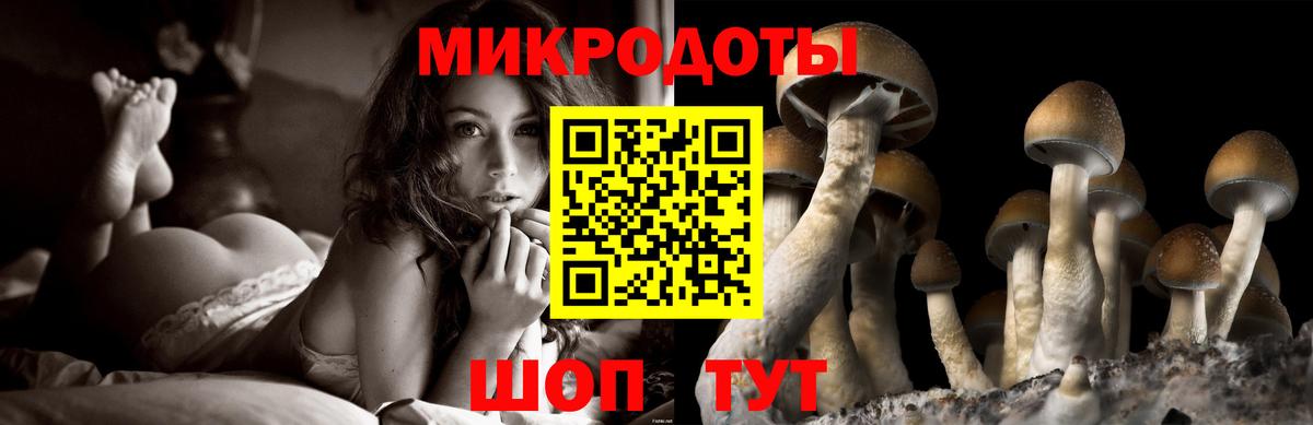 Уварово  Псилоцибиновые грибы прущие грибы  Вход с VPN  Псилоцибиновые грибы мицелий 
